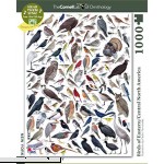 New York Puzzle Company Cornell Lab Birds of Eastern Central North America 1000 Piece Jigsaw Puzzle  B0791G9LVG
